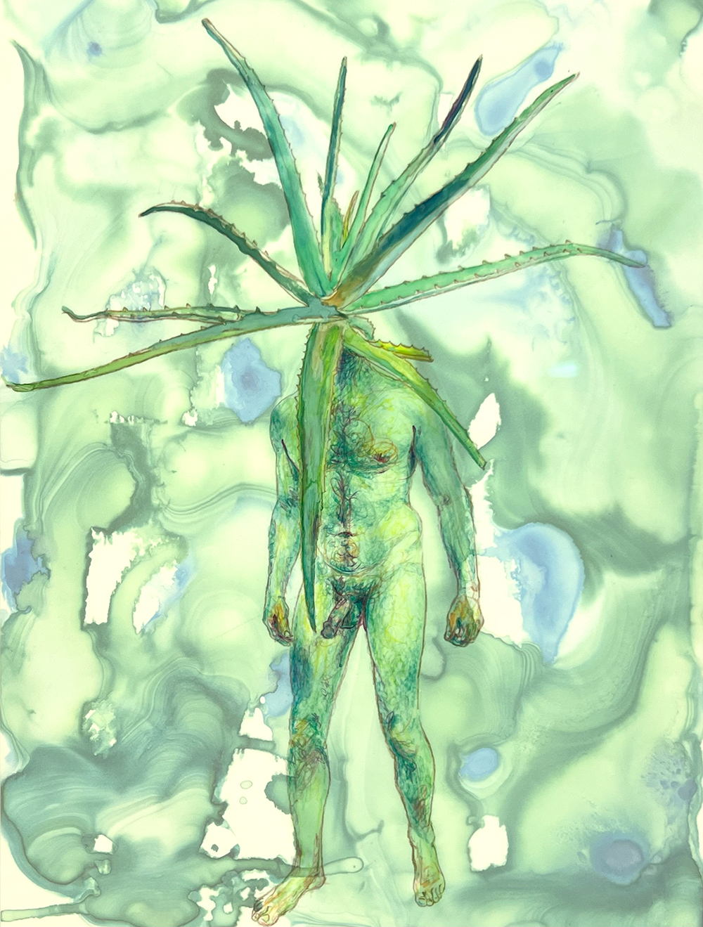 Aloe Ha